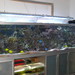 Морской аквариум 1300 л.jpg